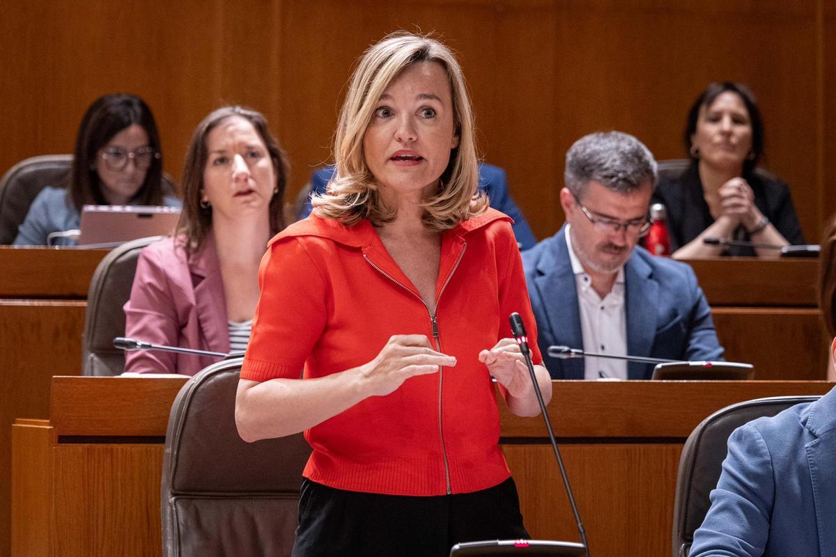 La portavoz del PSOE en las Cortes, Pilar Alegría, este viernes en el Parlamento autonómico.