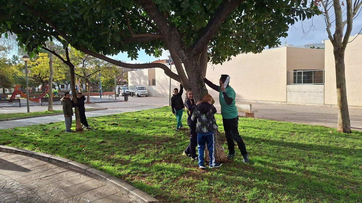 Una de les pràctiques preferides pels escolars és la d'abraçar els arbres.