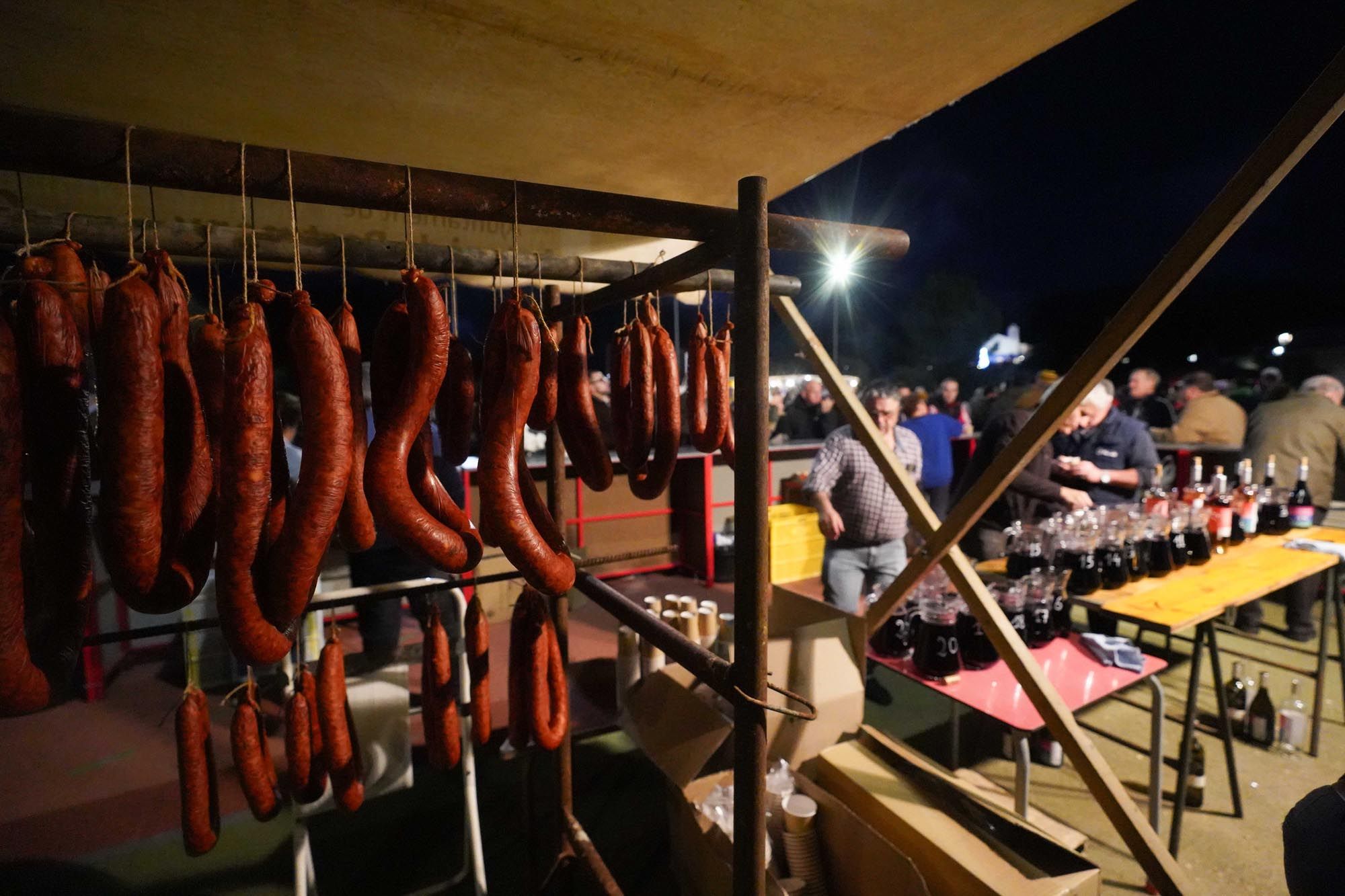 Todas las imágenes de la festa del Vi Pagès de Sant Mateu