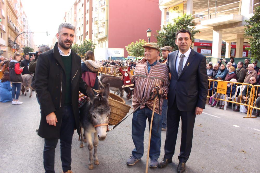 Fiesta de Sant Antoni en la ciudad de València