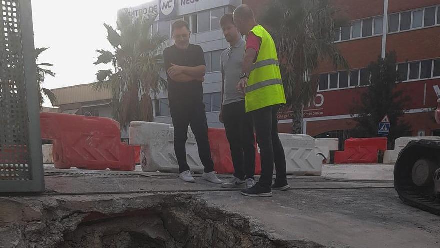 Una pantalla vegetal para combatir el impacto paisajístico del asfalto en el polígono