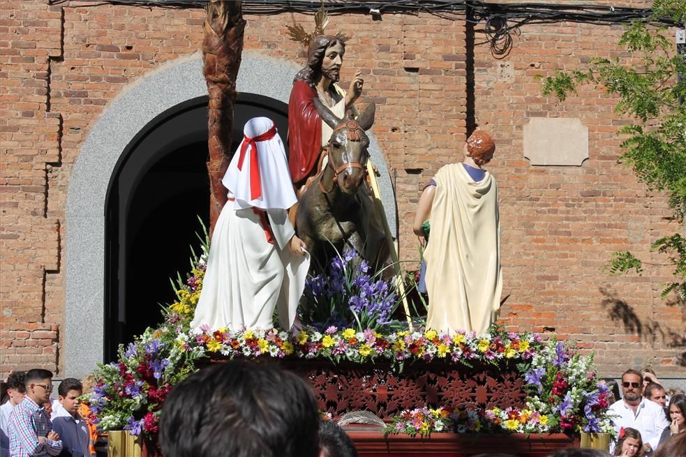 FOTOGALERÍA / El Domingo de Ramos en la provincia