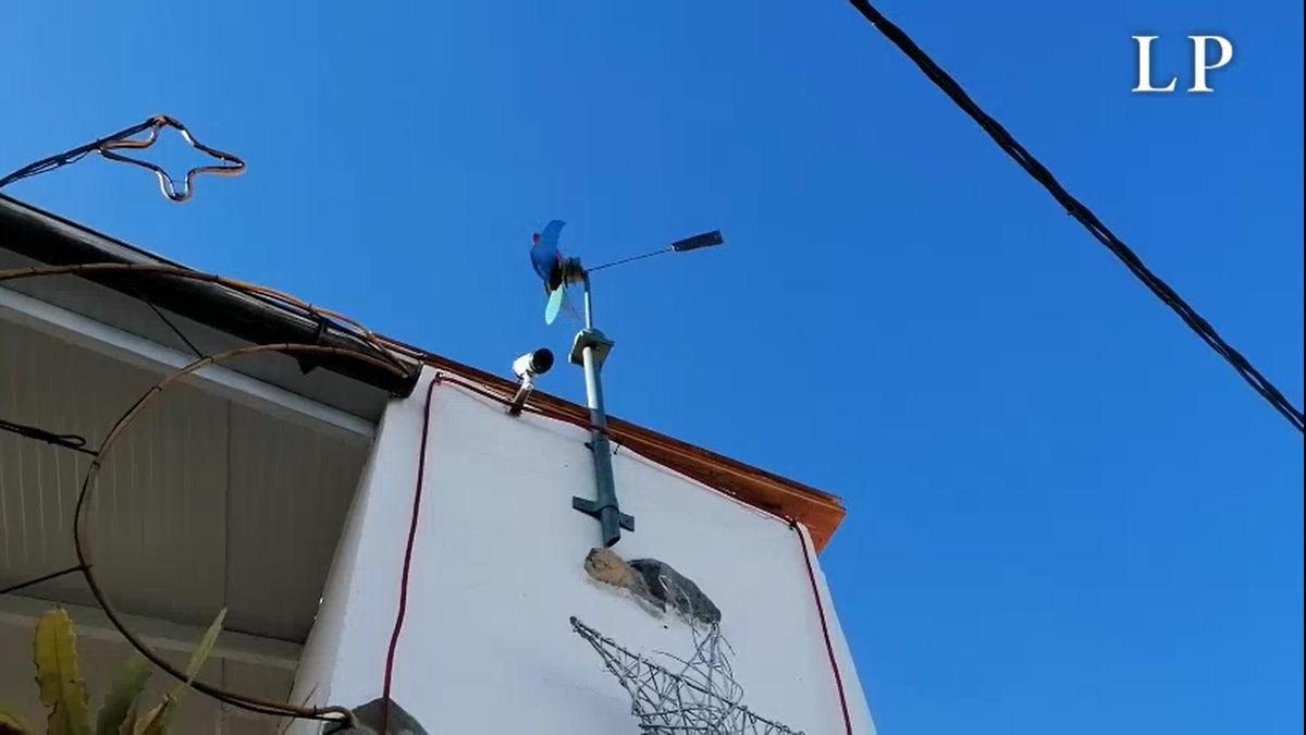 Viento racheado que se hace notar este jueves en Arucas