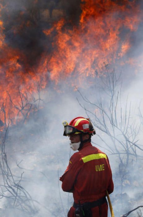 Andilla: ocho años desde su gran incendio