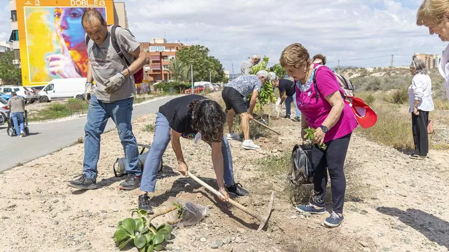 Árboles para reclamar el Parque Central