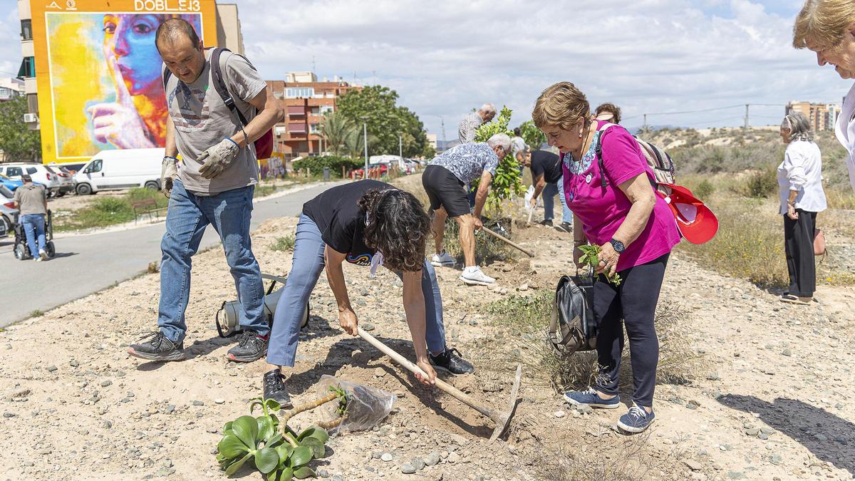 Vecinos realizan una plantación de árboles en los terrenos del futuro Parque Central