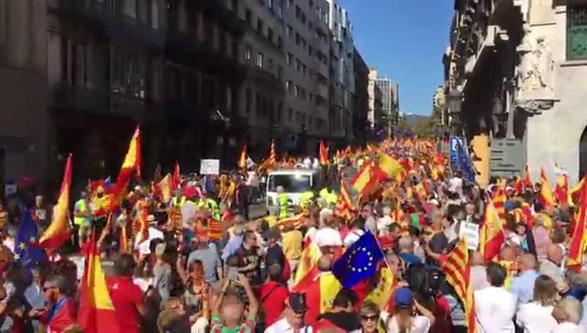 Manifestació