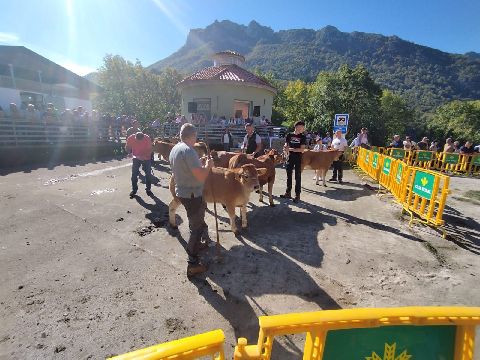 Concurso-Exposición de ganado de Caso