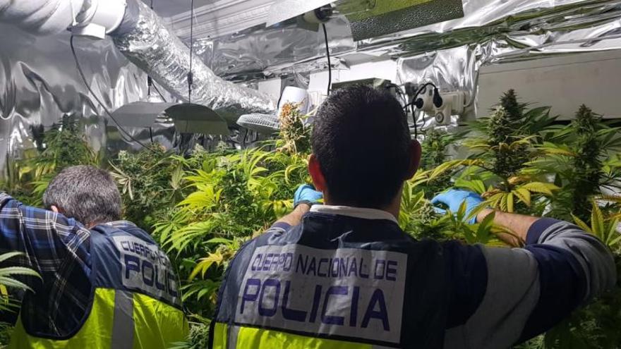 La policía desmantela dos organizaciones de venta de droga en narcopisos