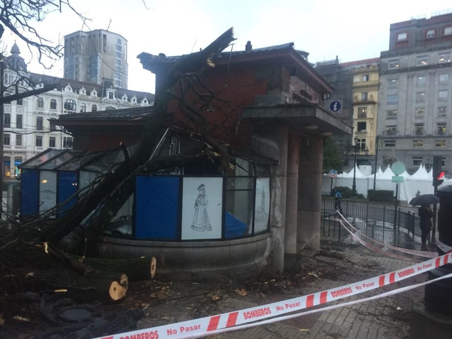 Destrozos en El Escorialín