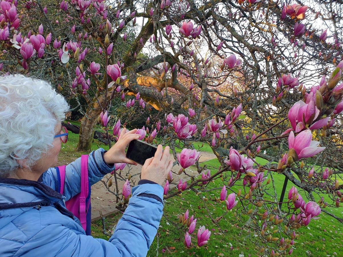 El mayor espectáculo del invierno florece en Castrelos