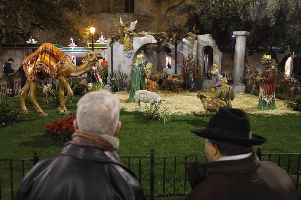 Inauguración del Belén y Árbol de la Plaza de la Reina