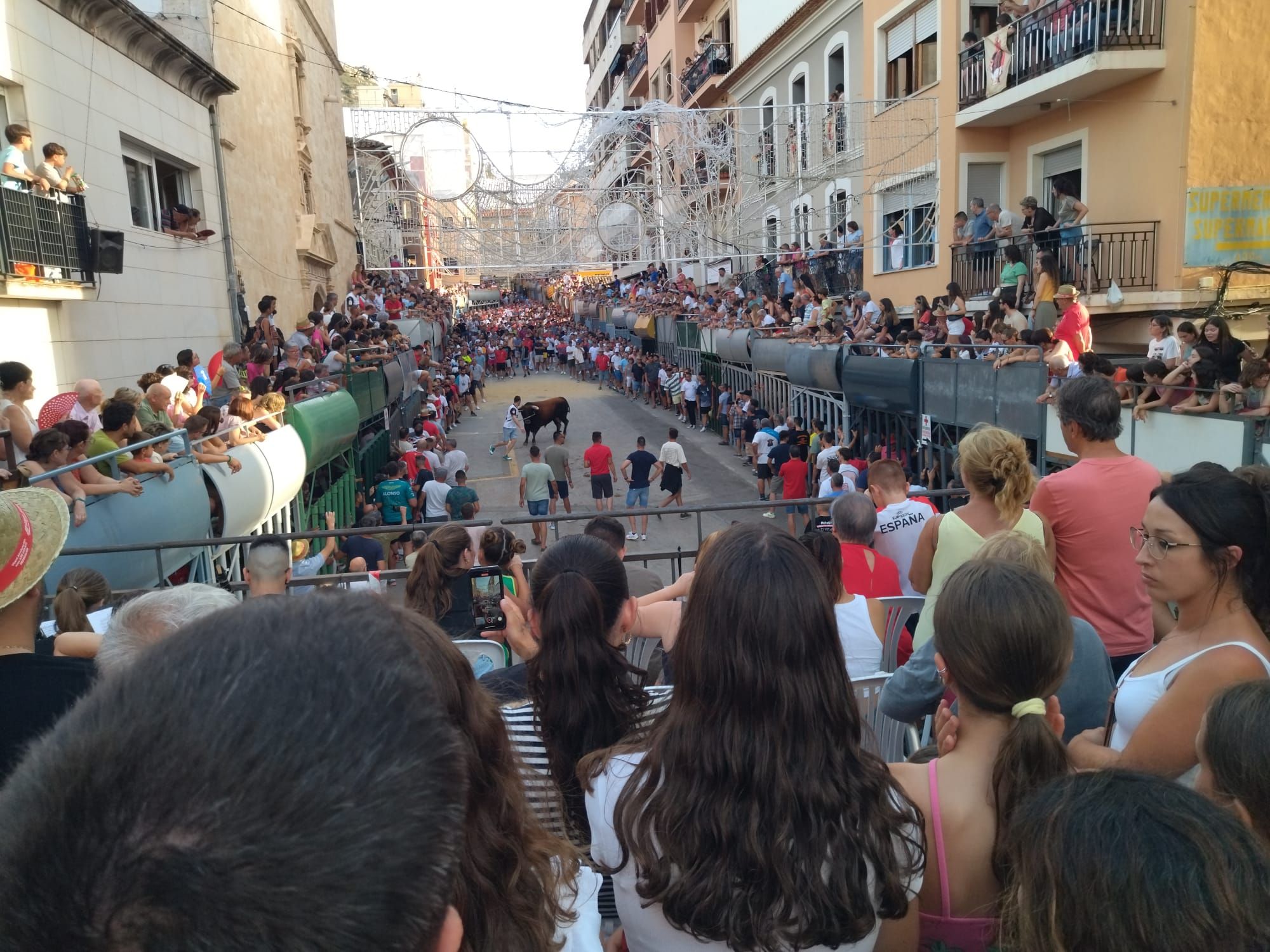 Pasión por los "bous al carrer" en Pedreguer