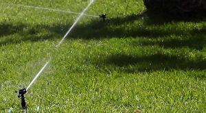 Multas a los vecinos de Palafrugell que incumplen la prohibición de regar jardines o llenar piscinas