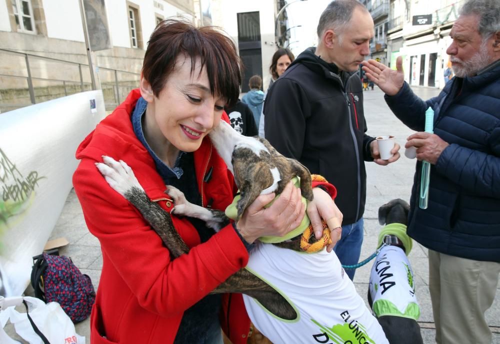 Vigo también se moviliza contra la caza del zorro. // Marta G. Brea