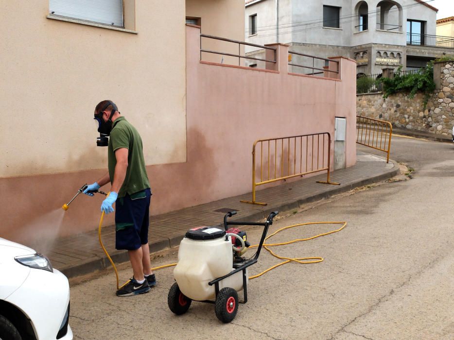 Bàscara fumiga un camp de colze per acabar amb una plaga de xinxes