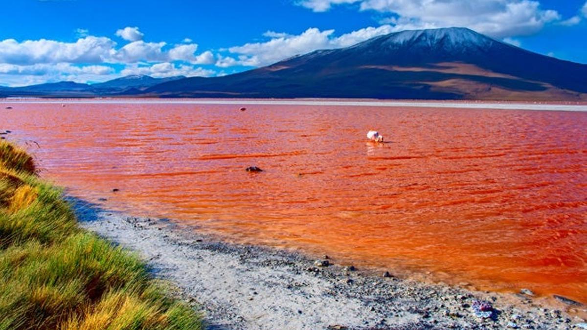 Aguas de colores sorprendentes