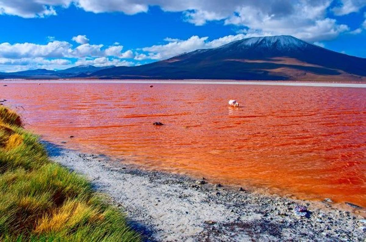 Laguna Colorada