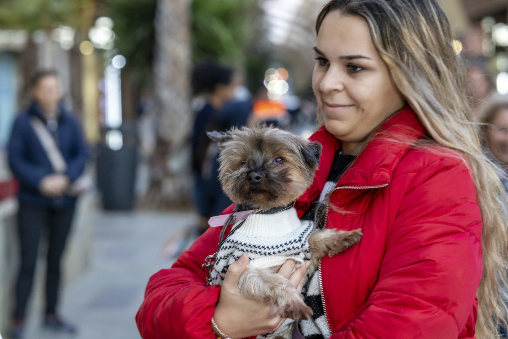 Así han recibicido la bendición perros, gatos y otra fauna doméstica el día de San Antón en Torrevieja