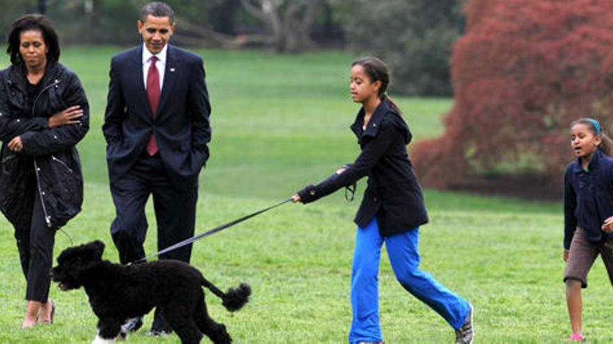 Bo, el gos dels Obama, comença el &quot;segon mandat&quot;