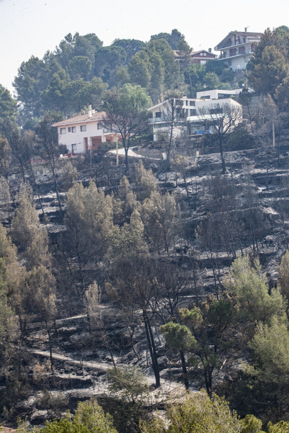 Afectació per l'incendi a la urbanització de les Brucardes