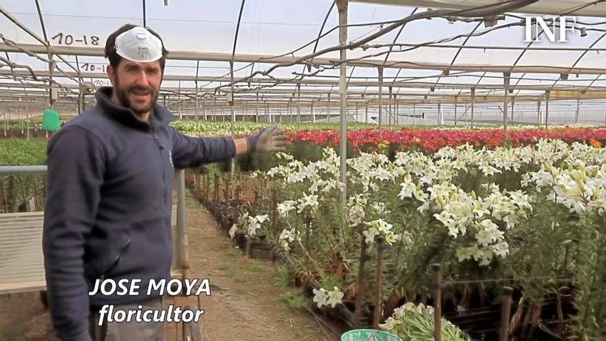 El sector de la flor pierde el 100% de los pedidos y queda fuera de las ayudas