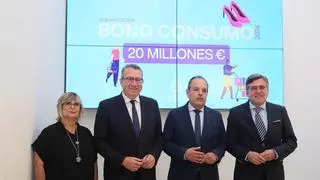 La Diputación de Alicante recupera el bono comercio dos años después en plena investigación por el caso Baño