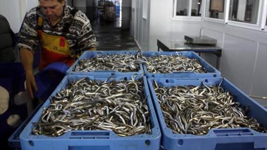 España ya ha consumido este año todo el pescado que es capaz de capturar y producir