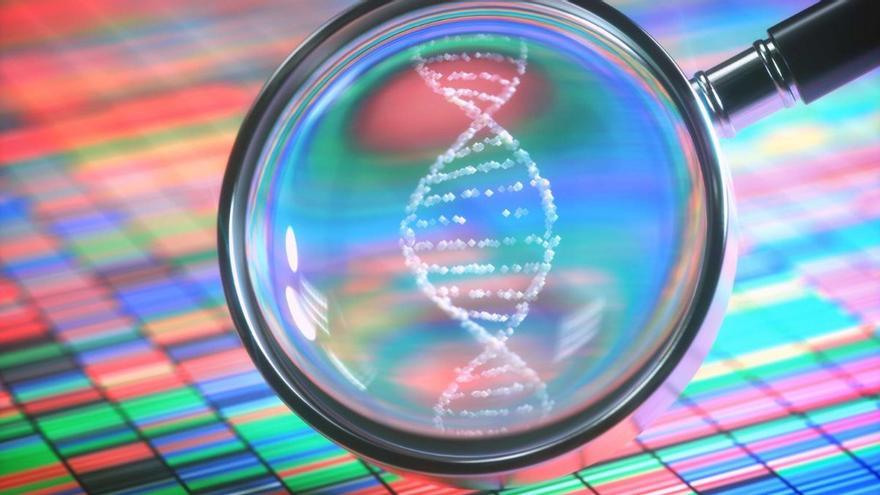 Un estudio revela que el gen GRIN2A es el primero en causar, por sí solo, una enfermedad mental