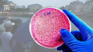 Qué es la bacteria E.Coli y cómo afecta a las competiciones acuáticas de los Juegos Olímpicos en el río Sena