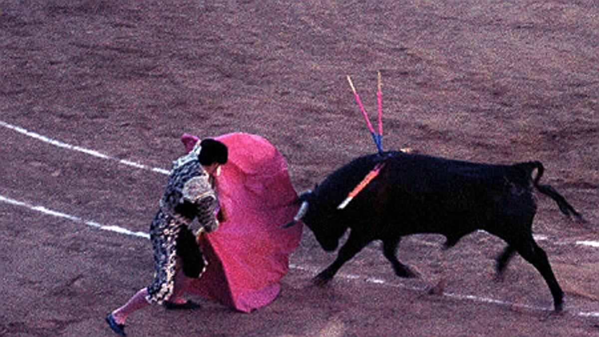 Imagen de archivo de una corrida de toros celebrada en Palma de Mallorca.