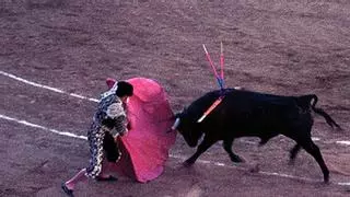 El Constitucional tumba la ley que impedía la muerte del toro en Baleares