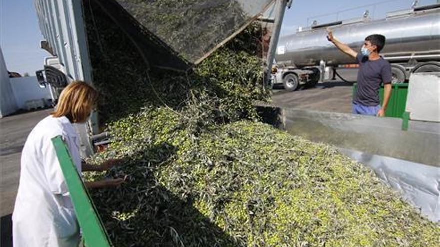 Nuevo paso para la esperada modificación de la ley de la cadena alimentaria