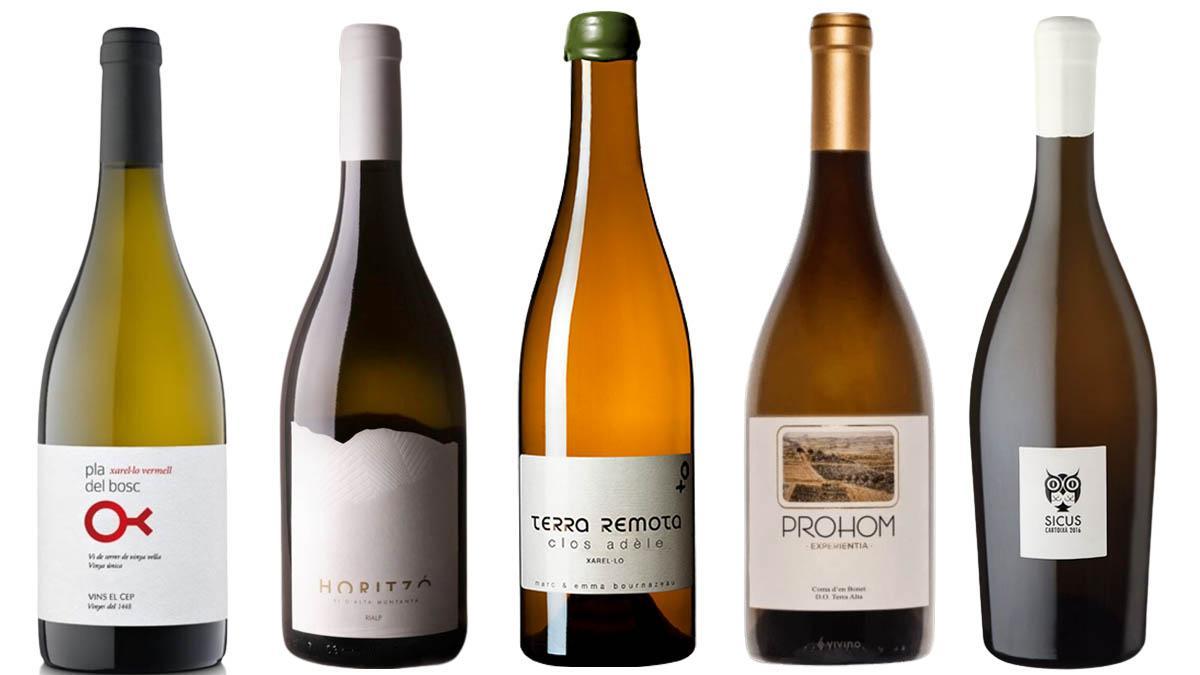 Clos Adele, Sicus Cartoixà... Els 5 vins favorits de l’enòleg Àlex Torelló