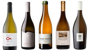 Clos Adele, Sicus Cartoixà... Els 5 vins favorits de l’enòleg Àlex Torelló