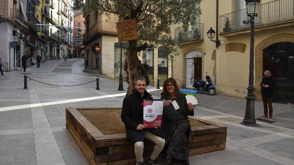 El regidor de Centre Històric, Josep Maria Fius; i la regidora de Comerç, Núria Masgrau amb l'Arbre dels Desitjos