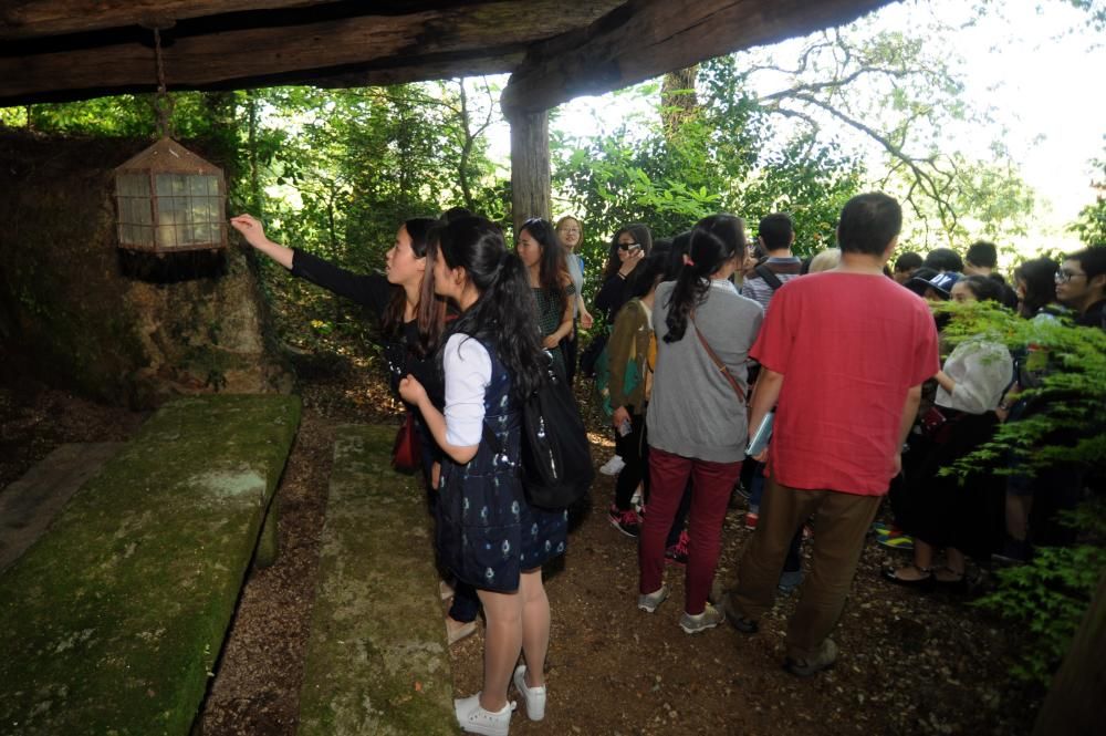 Estudiantes chinos visitan el jardín botánico de Q