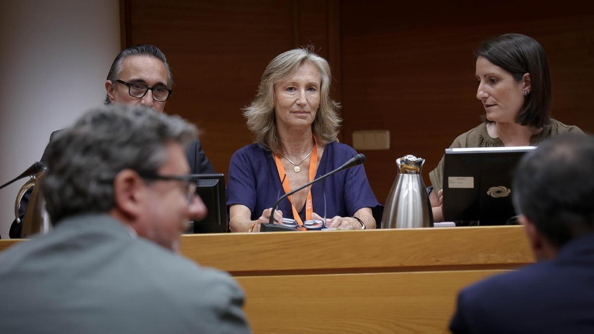 María Pérez-Hickman este miércoles en la comisión de las Cortes, en la que se ha negado a responder todas las preguntas sobre Les Naus
