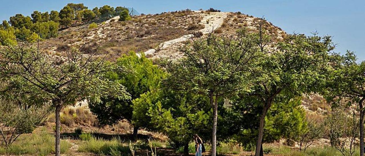 Montaña del Huevo, posible ubicación del parque canino.  |