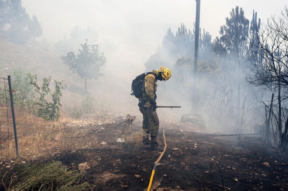 Incendio forestal en Ourense