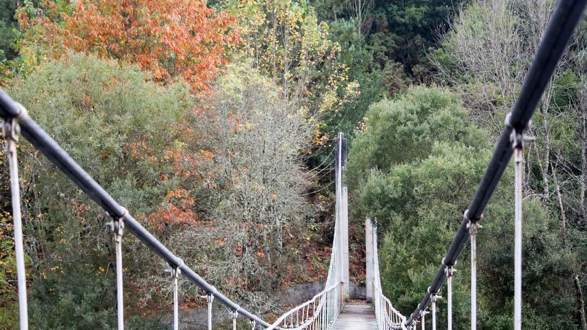 Puente colgante otoño