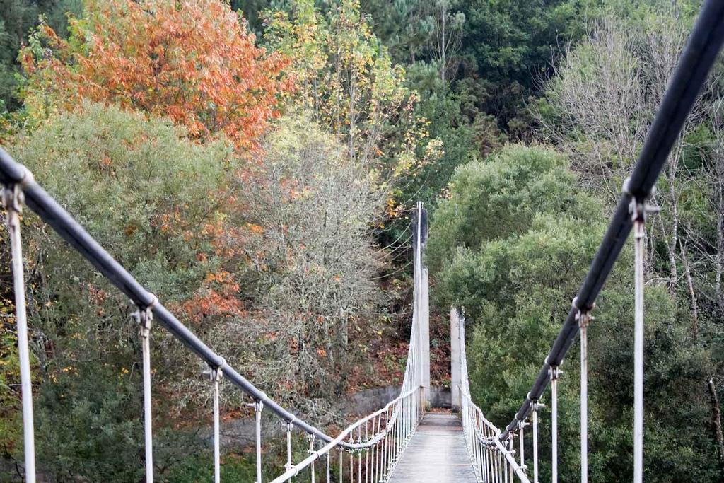 Puente colgante otoño