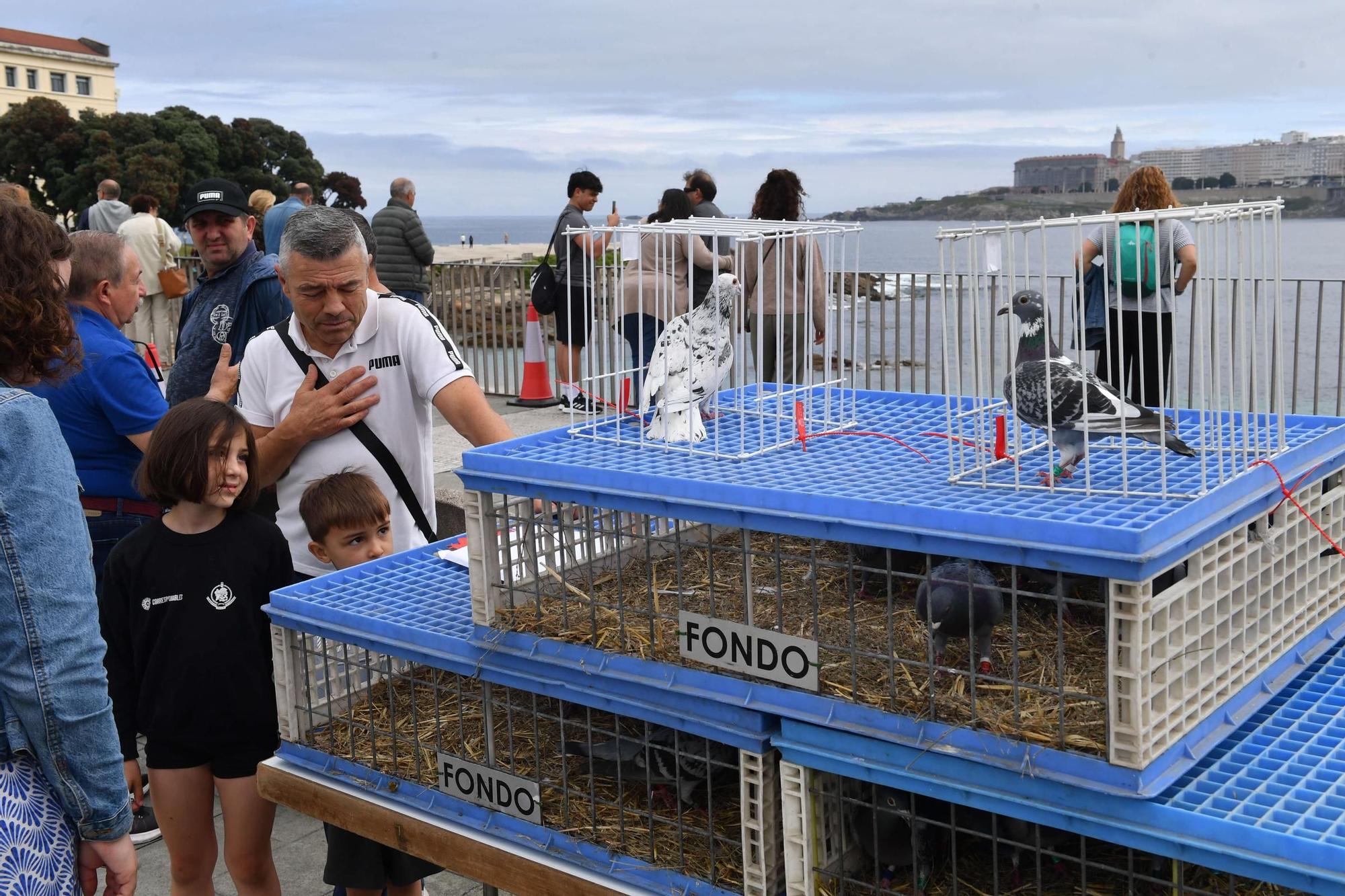 Día del Deporte en la Calle A Coruña 2024