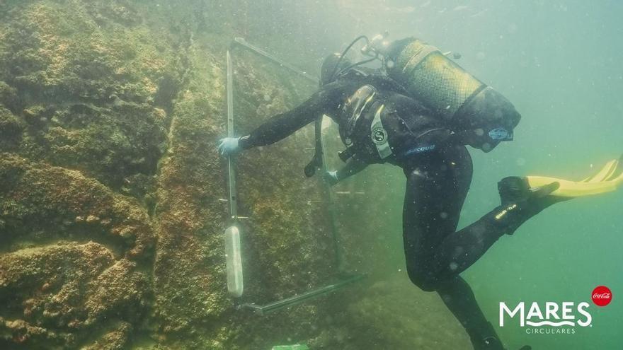 Mares Circulares y Ocean Ecostructures impulsan la renaturalización de puertos deportivos en el Real Club Náutico de Palma