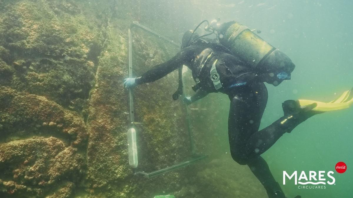 Mares Circulares, el programa de Coca-Cola en España y Portugal para la protección y conservación de entornos marinos.