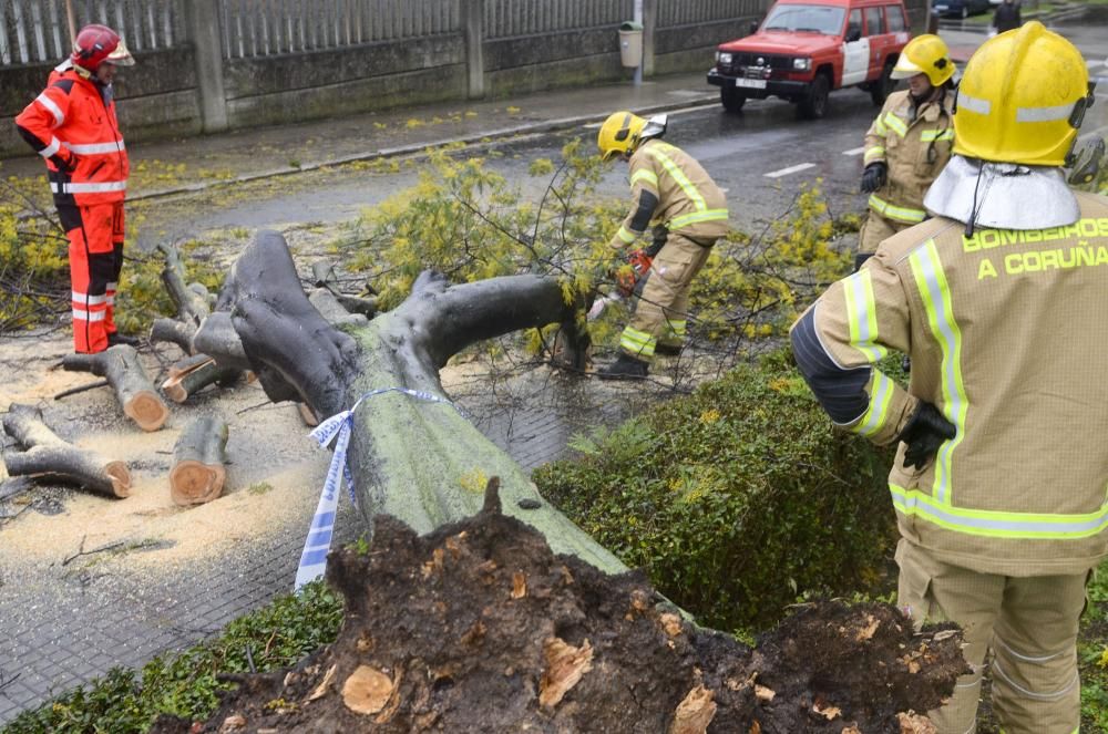 Las imágenes del temporal en A Coruña este sábado