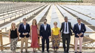 Más de 3.000 hogares ya participan en el autoconsumo en Crevillent y se llegará a los 10.000 en 2030