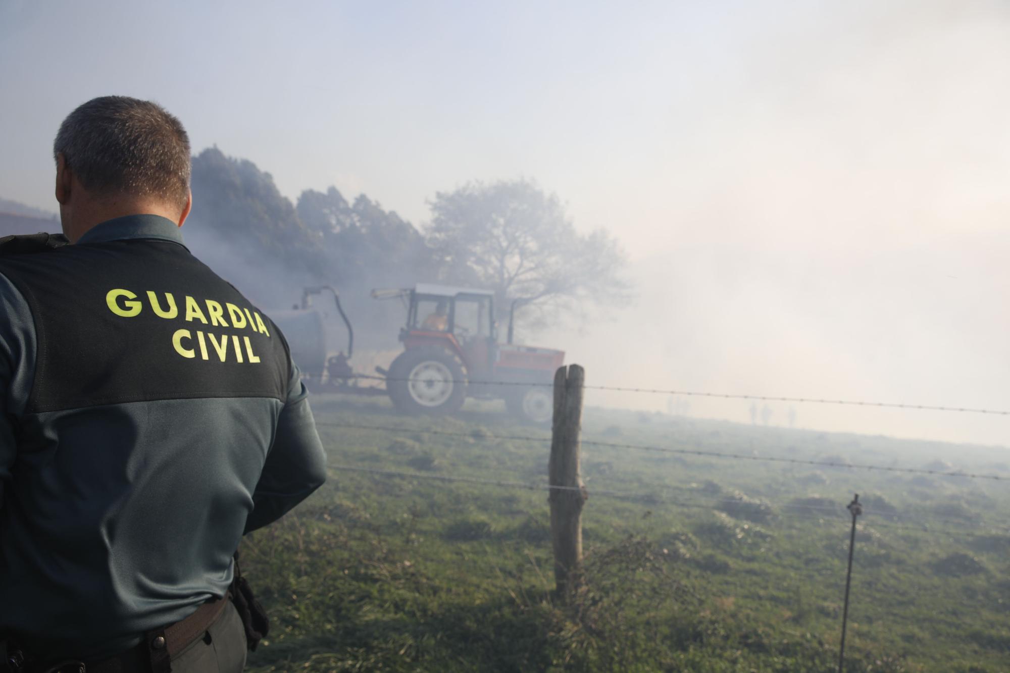 EN IMÁGENES: bomberos, vecinos y la UME luchan contra el preocupante incendio en Tineo