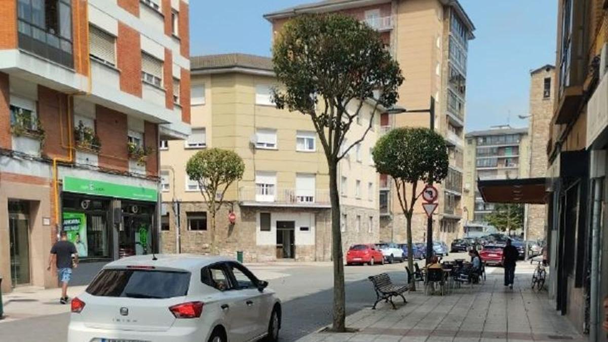 Una de las podas realizadas en Ventanielles.