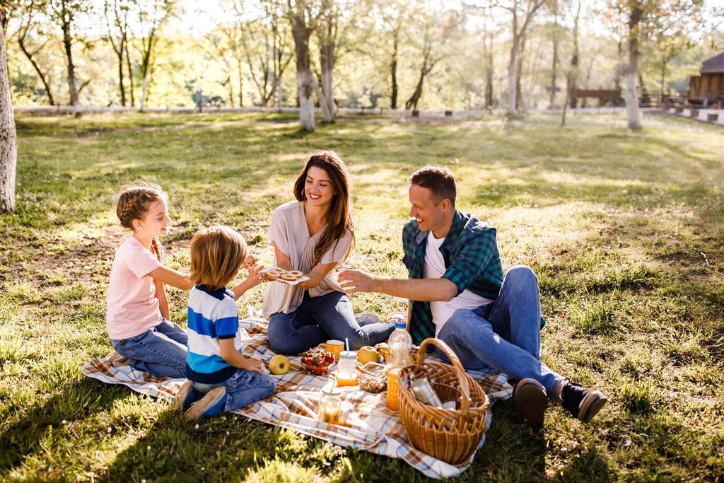 Picnic, excursión